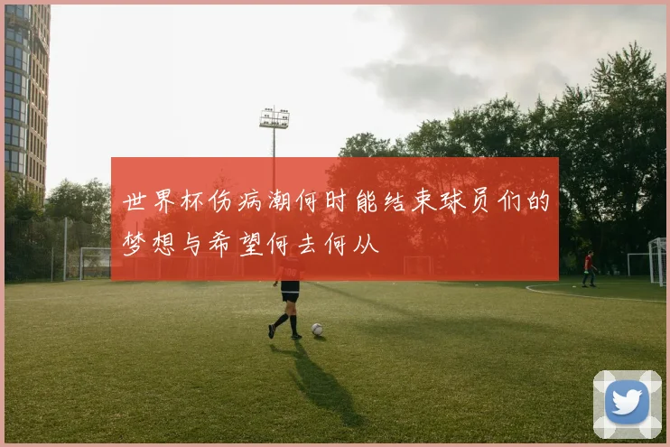 世界杯伤病潮何时能结束球员们的梦想与希望何去何从